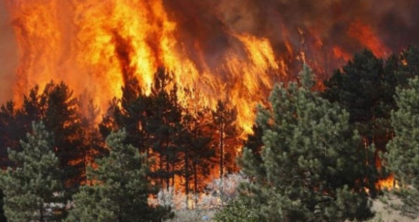 Zjarri kaplon një pjesë të malit në Gjakovë