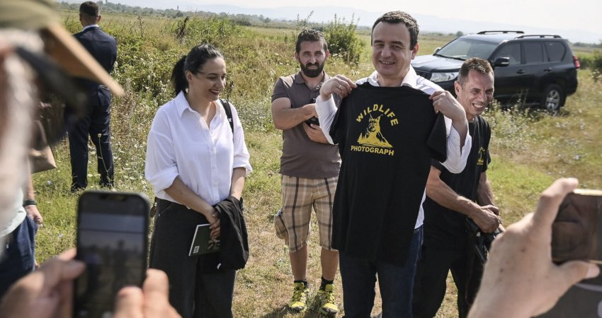 Kurti në Henc, bashkë me fotografë të shpezëve, kafshëve të egra dhe natyrës
