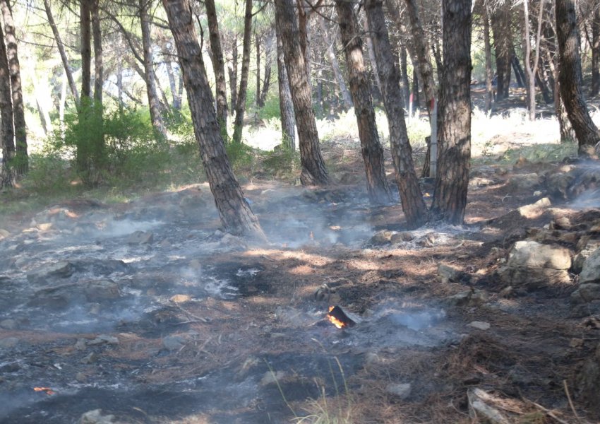 Shuhen vatrat e zjarrit në Shëngjin, turizmi dëmtohet në kulmin e tij