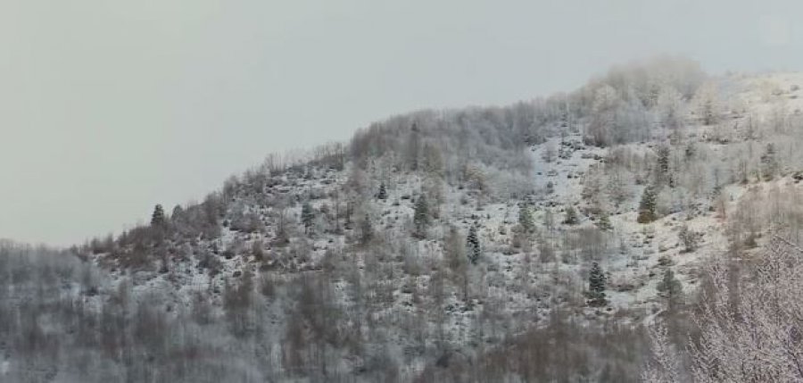 Rikthehet bora në zonat e thella malore të qarkut të Korçës