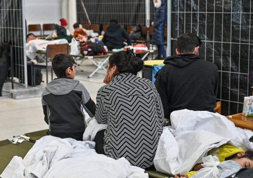 Shqipëria, e treta në botë në kërkesat për azil në raport me popullsinë