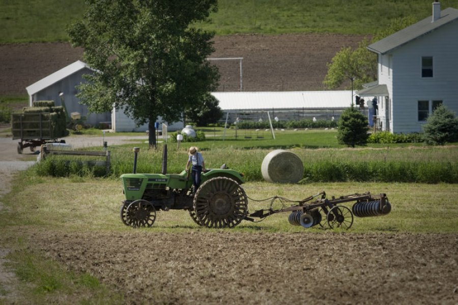 Thellohet kriza në sektrin e bujqësisë: pas grurit, fermerët pritet të ulin deri në 15% të mbjellat edhe me misër