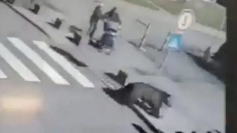 VIDEO/ Vritet ariu që lëndoi pesë persona në Sllovaki