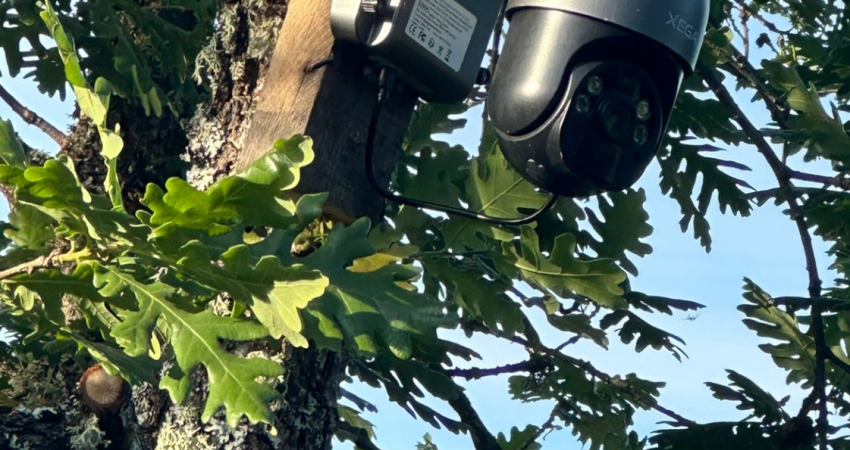 Policia gjen kamera të vendosura për vëzhgimin rrugëve në kufirin mes Kosovës dhe Serbisë, arrestohet një person