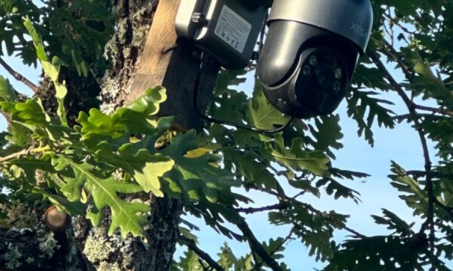 Policia gjen dy kamera që ishin vendosur pa autorizim në brezin kufitar mes Kosovës dhe Serbisë – Arrestohet një i dyshuar