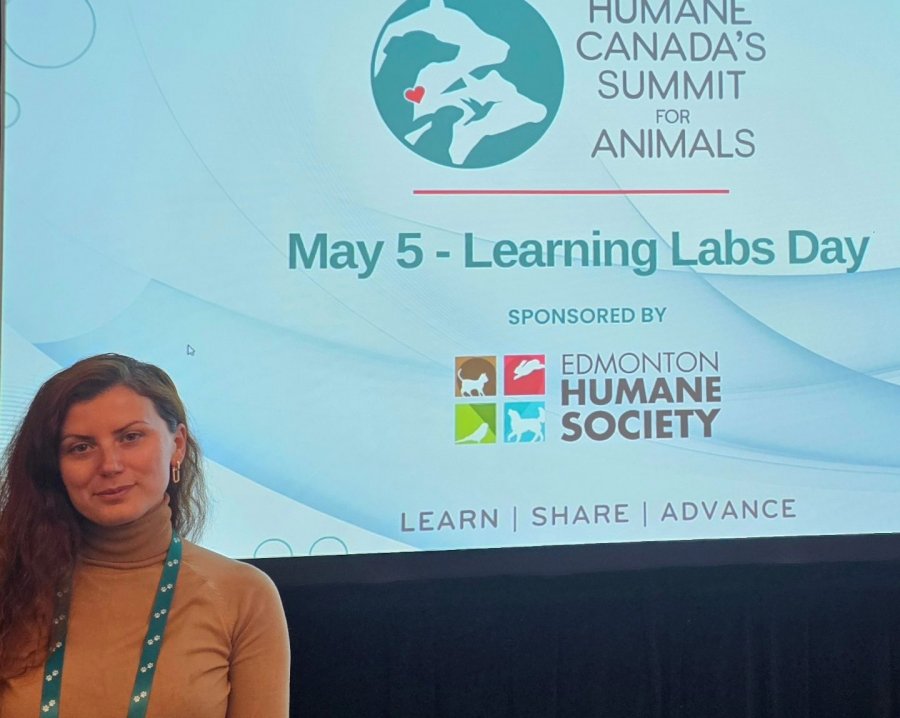 Samiti i 11-të i Kafshëve në Kanada/ Oli Pero dhe 'Animals Need Me': Një hap drejt mbrojtjes së kafshëve të braktisura