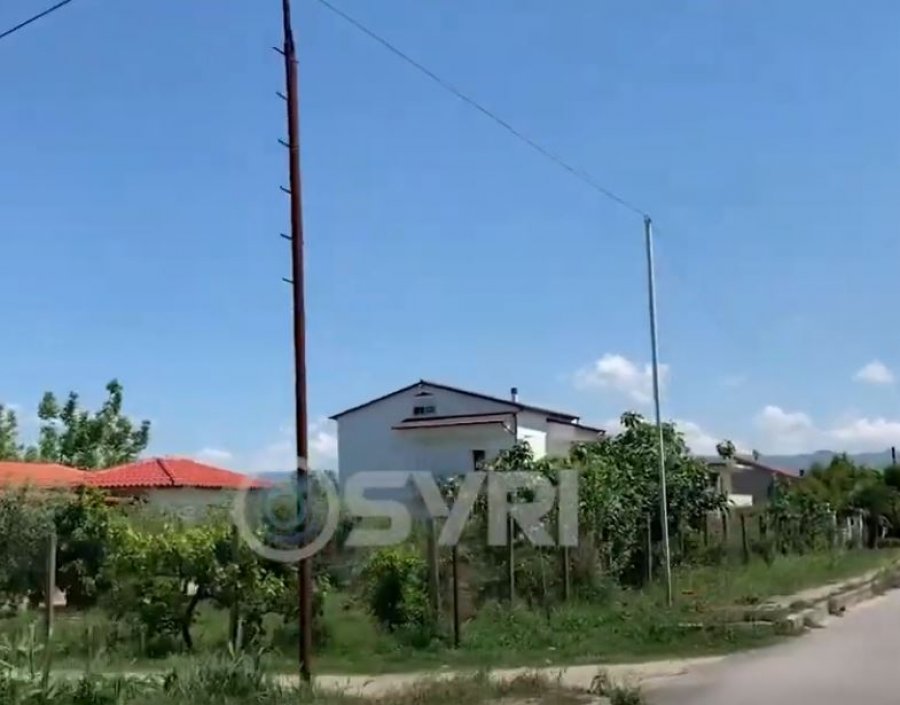 Syri-TV/ Fshati Tapi në Kuçovë drejt shpopullimit total