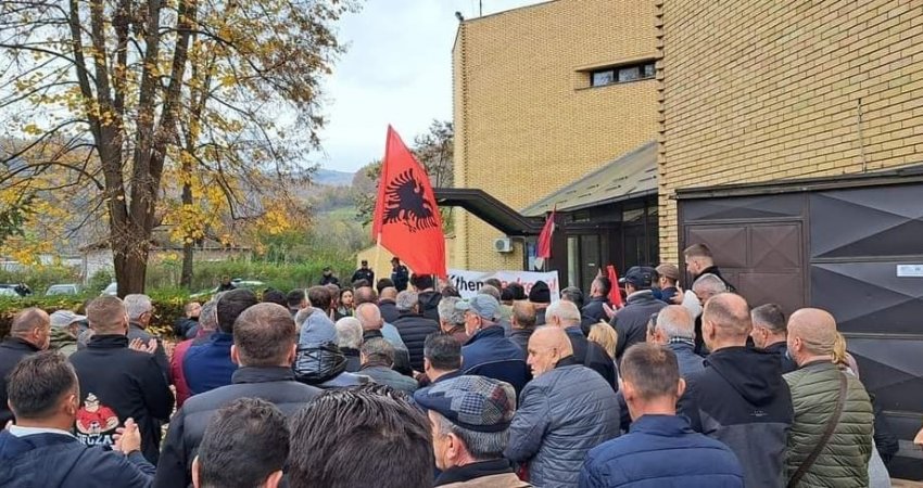 Sinani pas përfundimit të protestës: Medvegja sot u bë simboli i zërit të çdo shqiptari