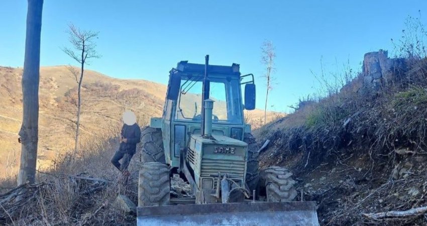 Leposaviq, arrestohen dy persona për vjedhje të pyllit