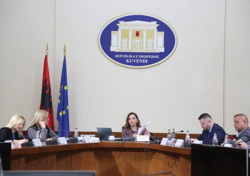 DOKUMENTI/ Koncesionet në shëndetësi, thirret për të dëshmuar Edi Rama dhe Vilma Nushi