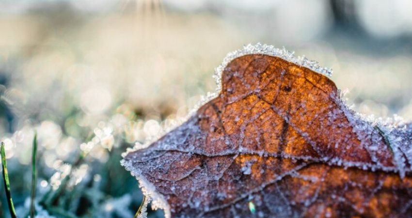 Parashikimi i motit për sot, mëngjesi me acar