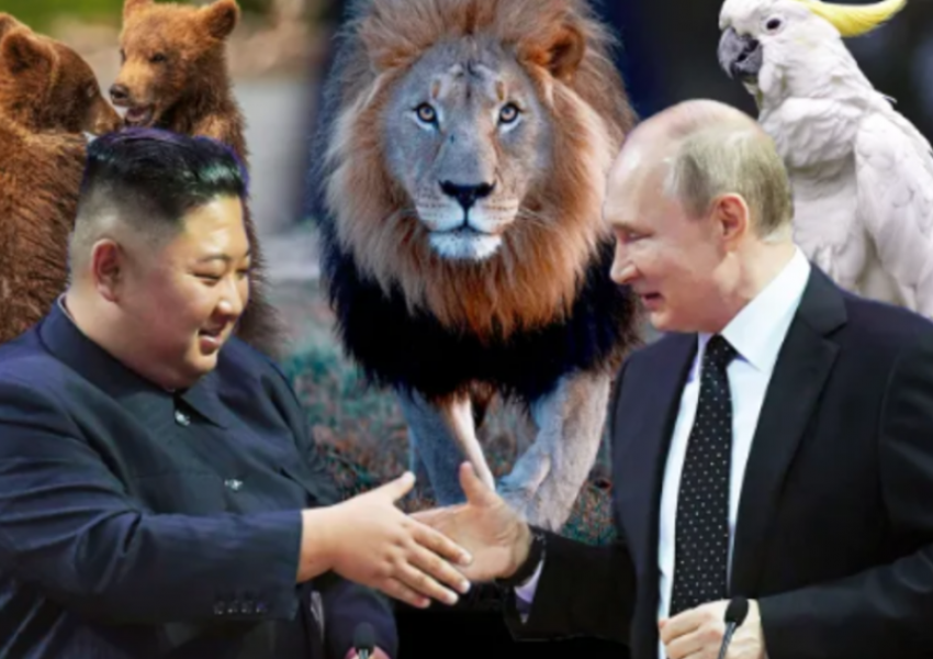 Putin dhuron dhjetra kafshë për kopshtet e Koresë së Veriut, në këmbim të ushtarëve për luftë