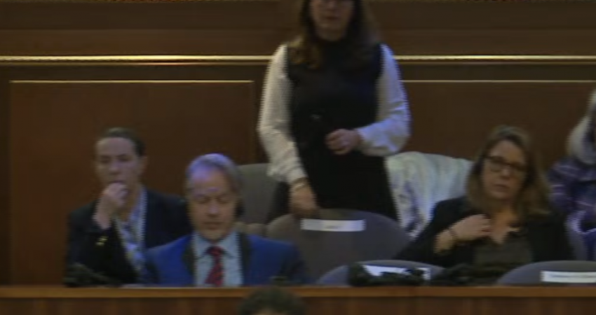 Orav e Hovenier në Kuvend për ta dëgjuar adresimin e Osmanit