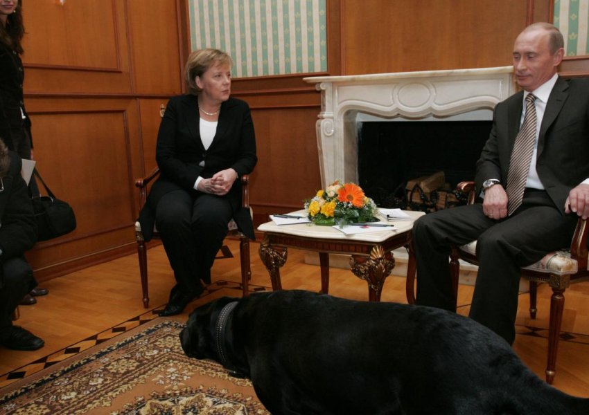 Angela Merkel: Putini shfrytëzoi frikën time nga qentë