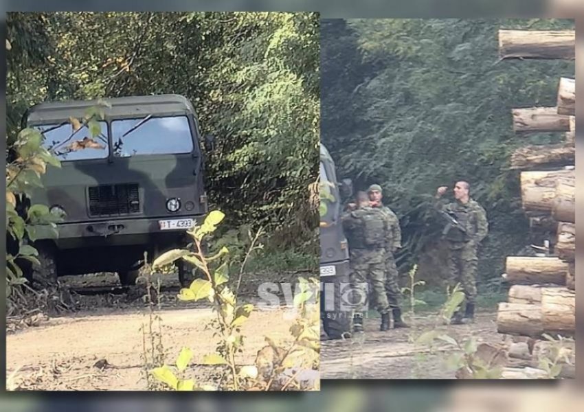 Serbia thotë se ushtarët afër kufirit penguan kontrabandën e druve