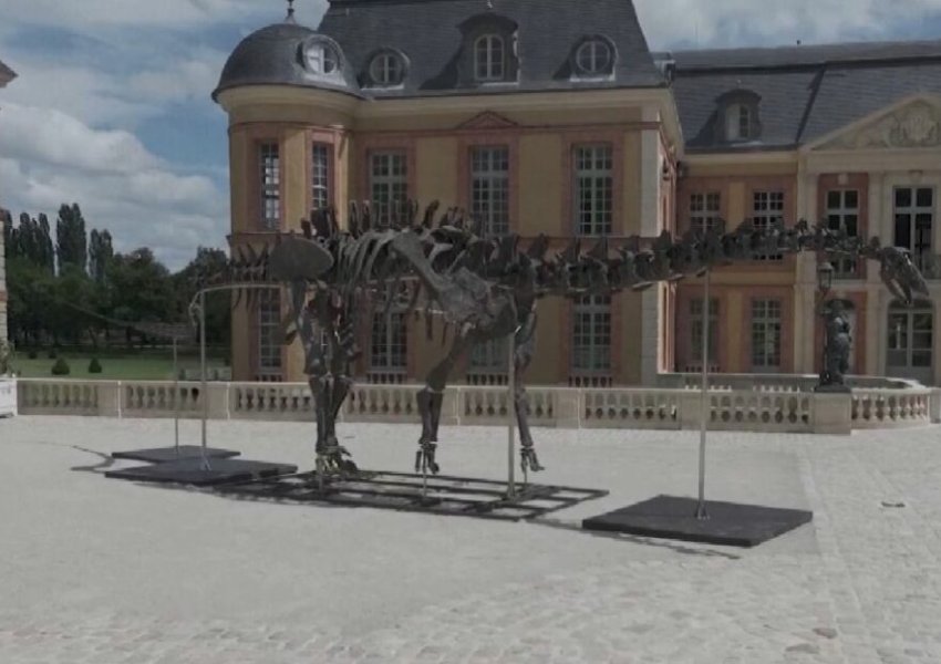 Francë, del në ankand skeleti më i madh i një dinosauri