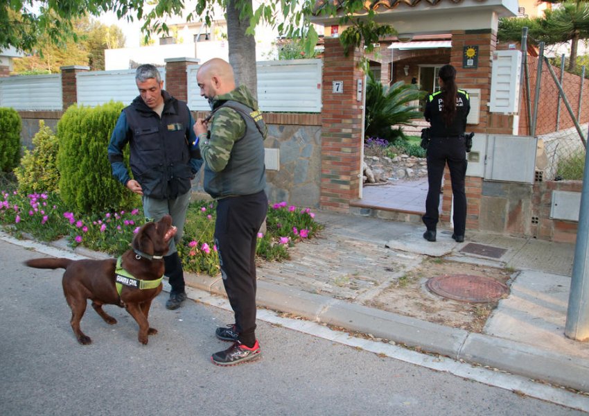 Grabisnin apartamente e lokale, banda e shqiptarëve investonte në ‘shtëpi bari’  