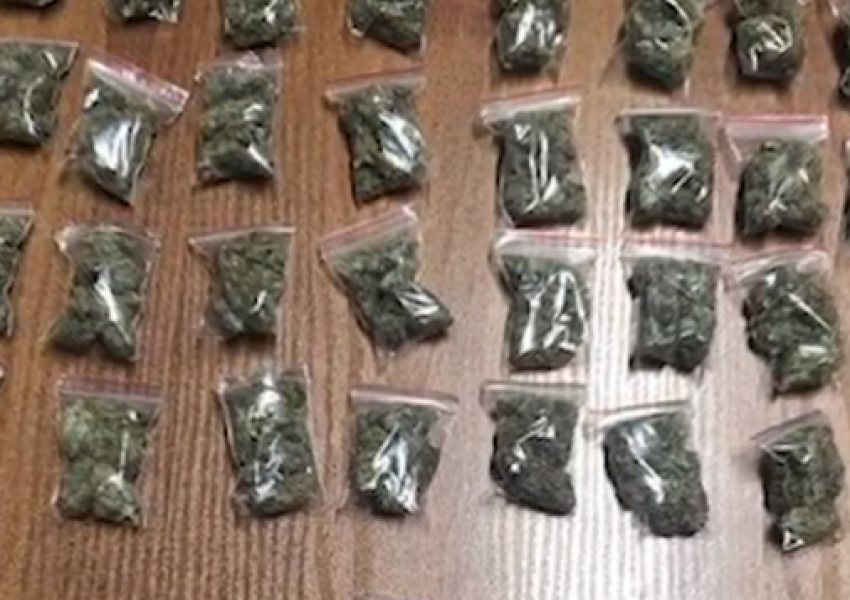 Shiste kanabis në zona të ndryshme në Fier, arrestohet 24-vjeçari