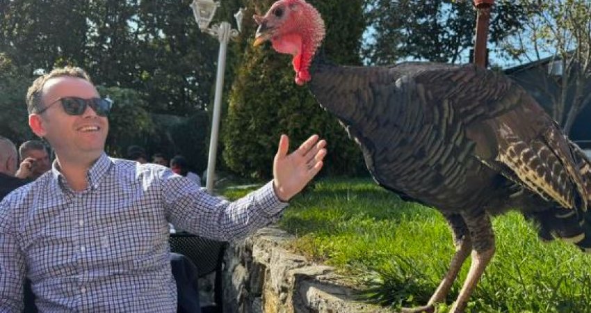 “Qurani” i shkon në tavolinë Pecit  