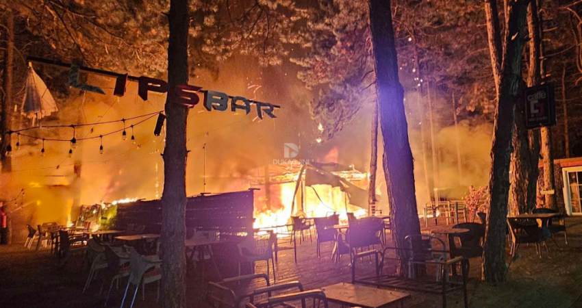 Zjarr i madh në “Pishat e Sllatinës”, Policia nis hetimet