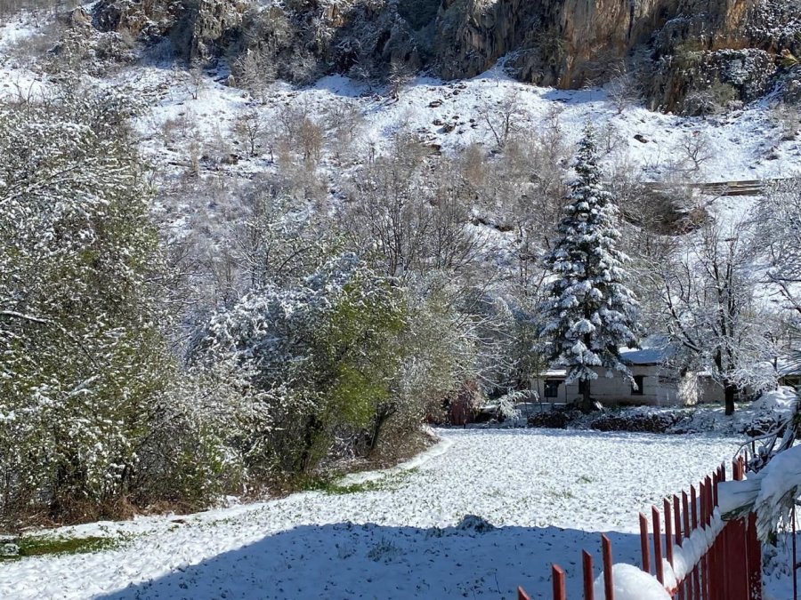 Moti i keq në Elbasan, ngricat dëmtojnë pemëtarinë, vreshtarinë dhe të mbjellat