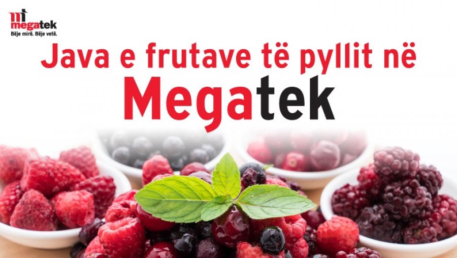 Zbulo magjinë e frutave të pyllit vetëm në Megatek!                                                                                                                              