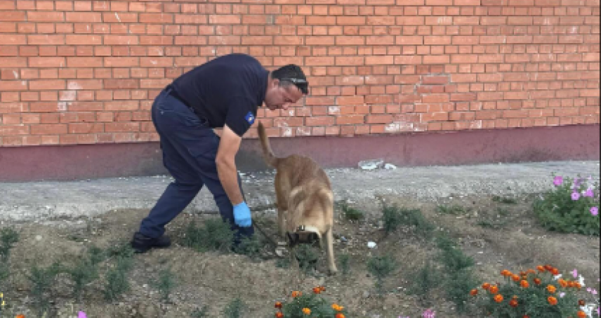 Aksion i bastisjeve në disa pavijone të Dubravës, të angazhuar 80 oficerë dhe Njësia K9