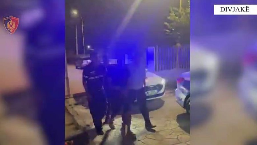 Divjakë/ Vuri zjarr në fshatin Kryekuq u dogjën dhjetëra rrënjë ullinj, arrestohet 41-vjeçari