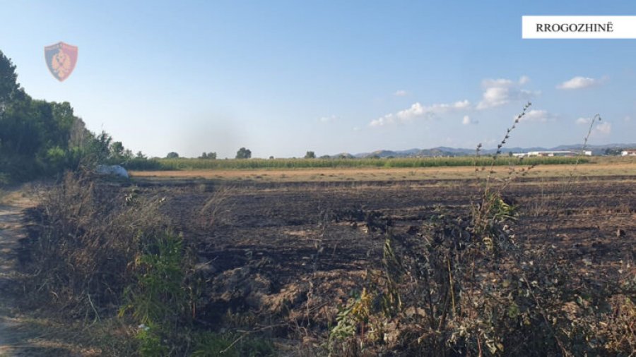 Ndezën zjarre në fshatrat Gosë e Madhe dhe Luz i Madh, identifikohen dhe procedohen penalisht 2 shtetas