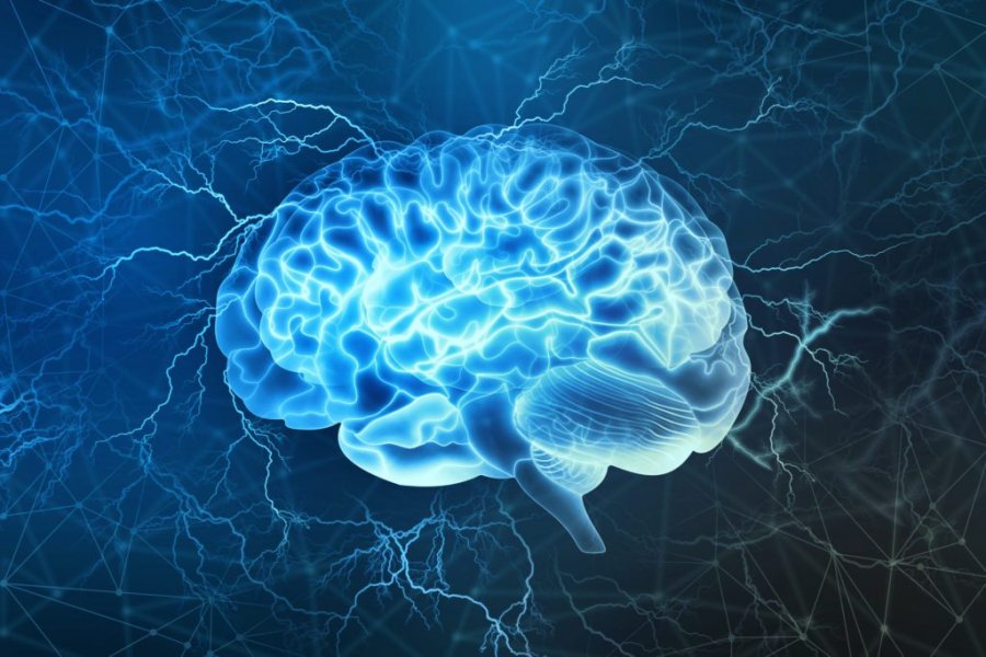 Alzheimerit mund t’i bëhet rezistencë, përmes një veprimi të përditshëm