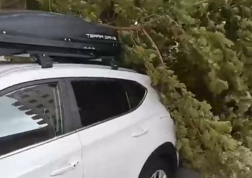 Stuhi e befasishme në Vlorë/ Era e fortë rrëzon pemët, pushuesit braktisin plazhin