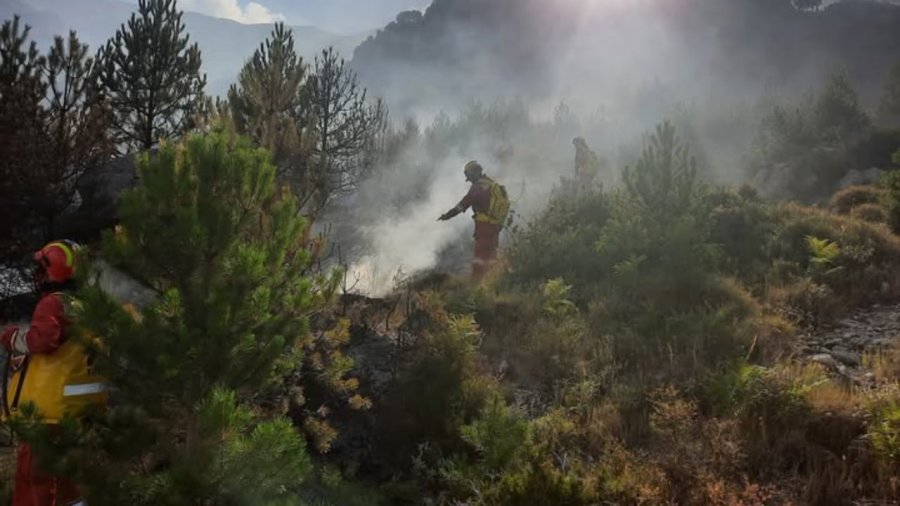 16 vatra zjarri në 24 orët e fundit/ Mbetet aktive një në Skrapar, nën monitorim flakët në Parkun Kombëtar të Lurës