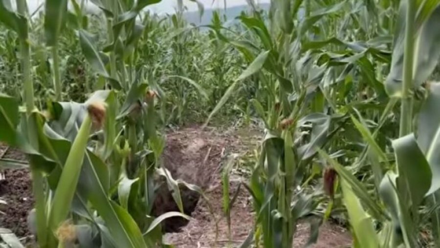 Burri u vra dhe u gropos në një arë, Prokuroria në Kosovë jep detaje nga ngjarja e rëndë