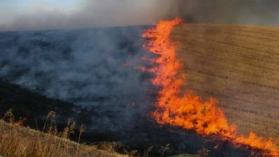 25 vatra zjarri në 24-orë, Mbrojtja: Rrufeja shkakton zjarr në një sipërfaqe pyjore në Finiq