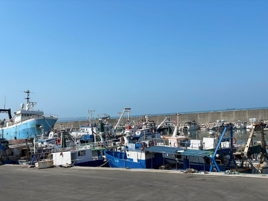 Peshkimi pa ndërprerje në Shqipëri rrezikon rezervat detare