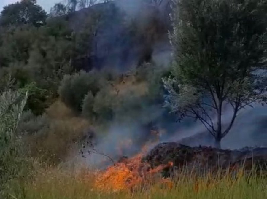 Poliçan/ Zjarrfikës e forca të ushtrisë vijojnë luftën me flakët, shmanget rreziku i banesave në qytet