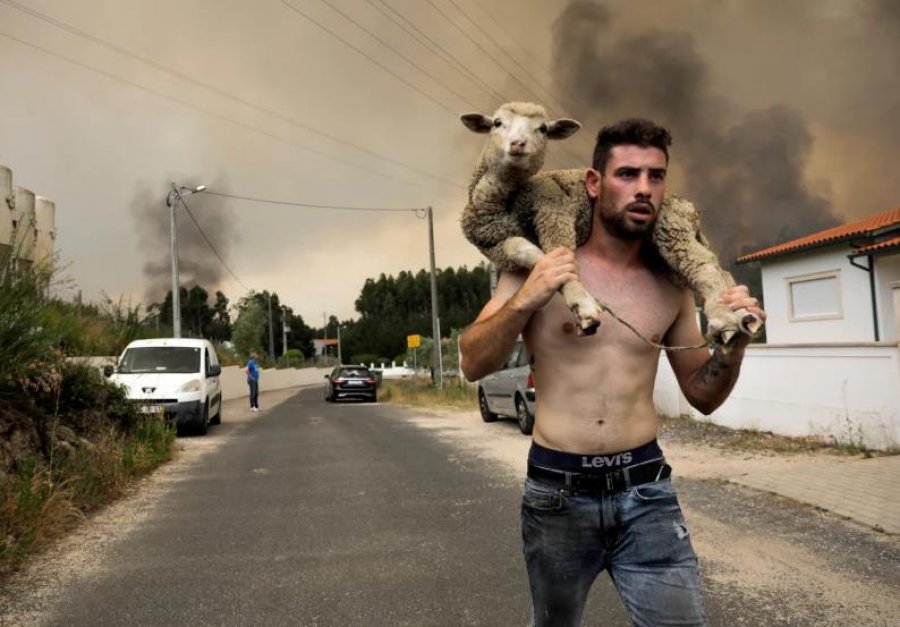 Flaka pranë Madridit, ‘tornado’ zjarresh masive përshkojnë Spanjën dhe Portugalinë
