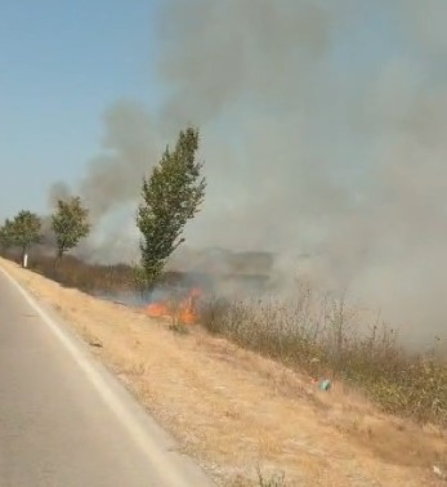Zjarr në fshatin Rroms pranë autostradës Levan-Tepelenë, rrezikohen misër dhe ullishta, kërkohet ndërhyrja e zjarrfikësve