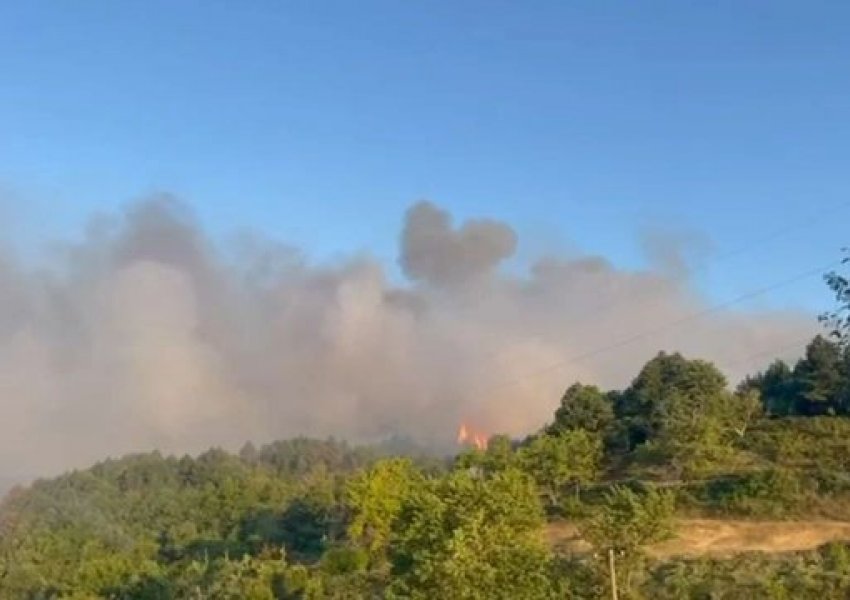 Shkodër/ Vijon të jetë aktive vatra zjarrit në fshatin 'Ura e Shtrejt',  situata në territorin e Fushë-Arrëzit mbetet nën kontroll