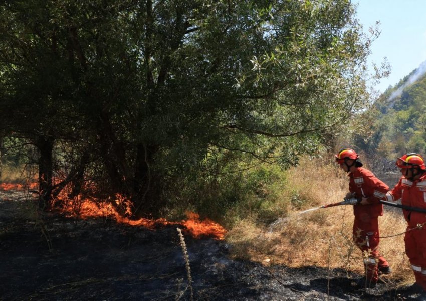 Shqipëria në emergjencë lufton e keqpajisur me flakët