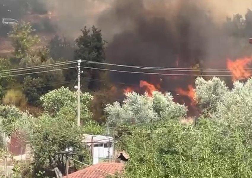 Delvinë/ Flakët shumë pranë banesave të fshatit, situata e rrezikshme! Syri TV sjell pamjet 