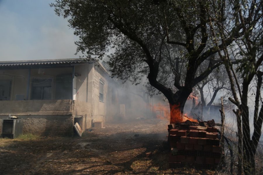 Shqipëria nën pushtetin e flakëve/ Reagon kreu i KMSH: Lutemi që kjo situatë të kapërcehet sa më shpejt
