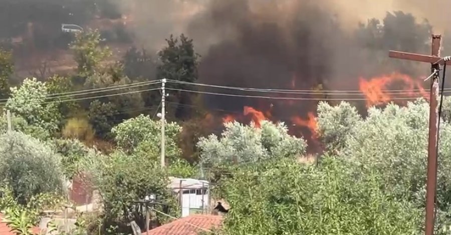Delvinë/ Flakët shumë pranë banesave të fshatit, situata e rrezikshme! Syri TV sjell pamjet 