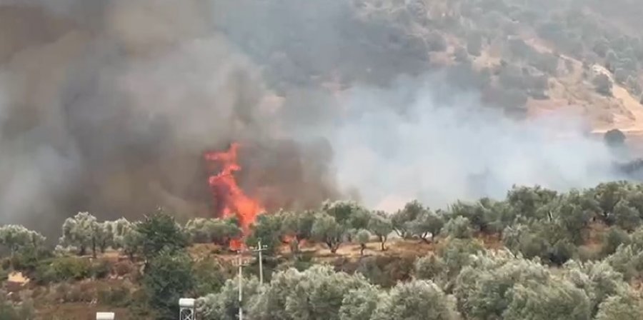 'Zjarri, armiku i të gjithëve!', Leskaj apelon për ndërhyrje urgjente: Çdo vonesë mund të kushtojë jetë