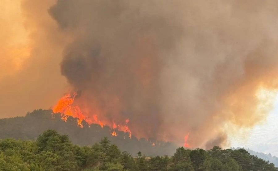 Situata kritike në Gramsh, flakët shkrumbojnë ‘Liqenin e Zambakëve’, rrezikohen fshatra të tjerë