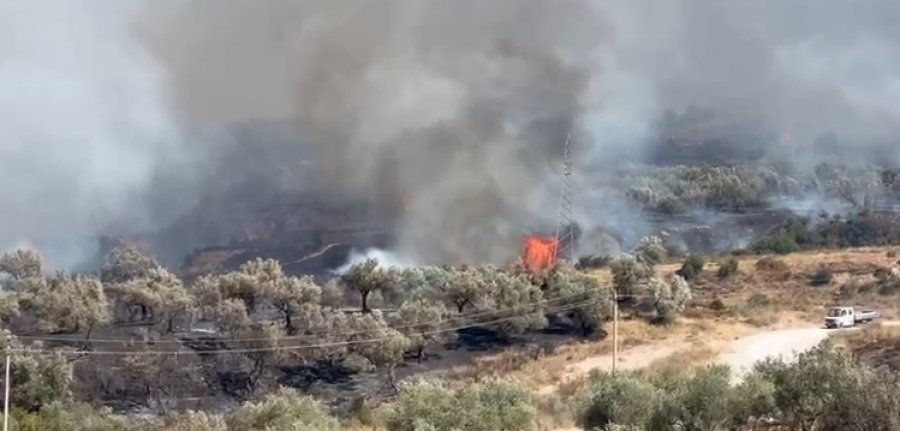 Situata e zjarreve, Ministria e Mbrojtjes: 64 vatra në 24 orë, 24 vijojnë të jenë aktive