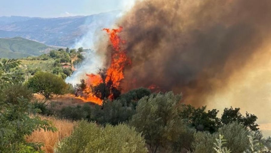 Vijon situata kritike e zjarreve në Gramsh, flakët kërcënojnë zonat rurale të Korçës dhe Teqen e Dushkut