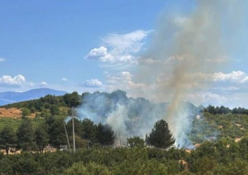 Pogradec, vatër zjarri në Lin