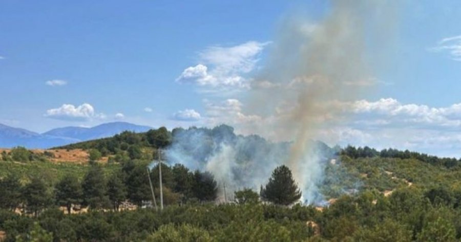 Pogradec, vatër zjarri në Lin