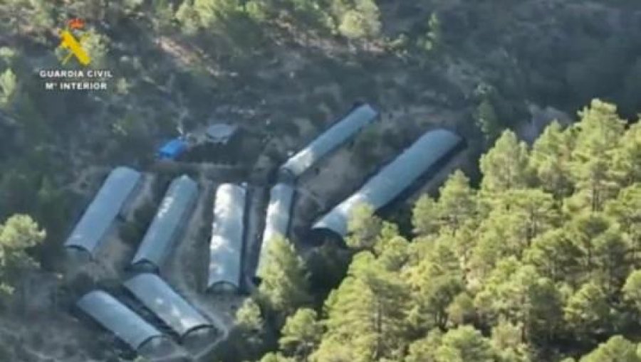 'Përroi i Bufit'/ U kapën në serat me kanabis në malet e Spanjës, arrestohen 4 shqiptarët